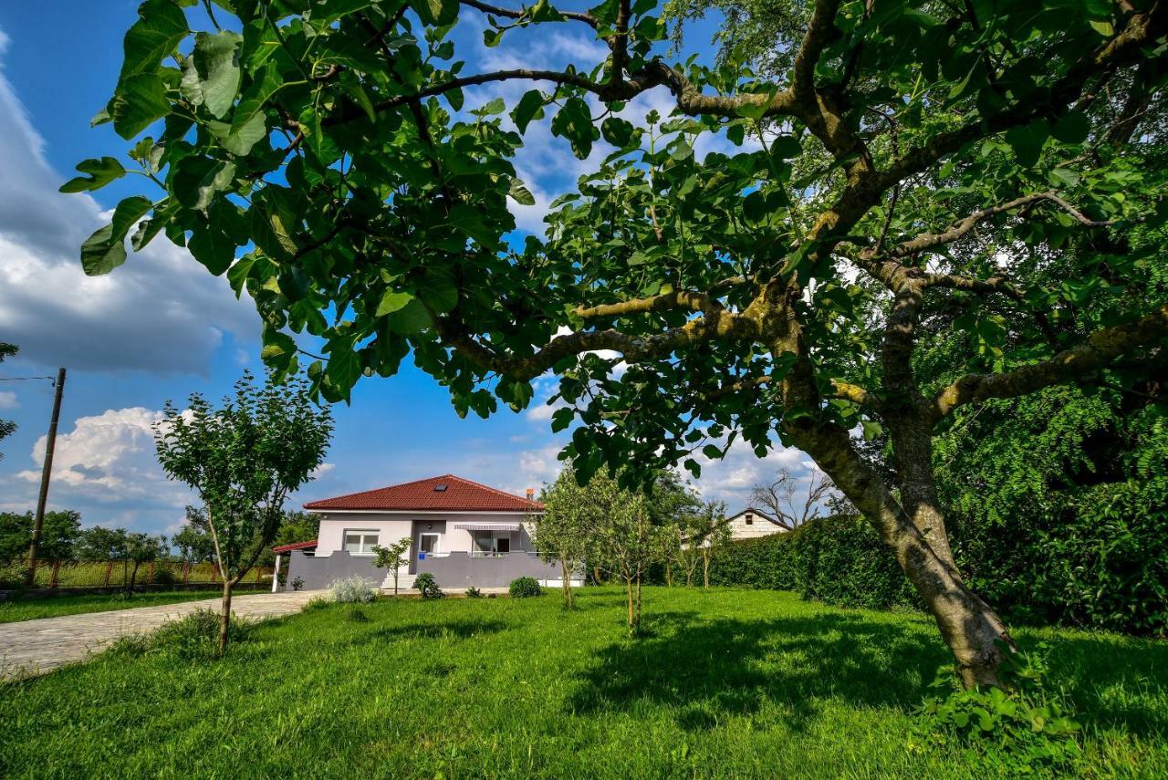 Ankin Dvor Villa Galovac  Luaran gambar